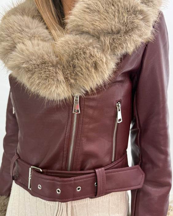 Jakna Verona-Kožna jakna-J&J Collection-Bordo-S-Contessa